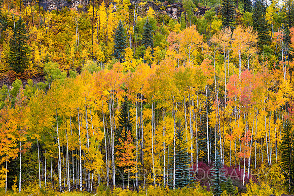 Ouray, CO