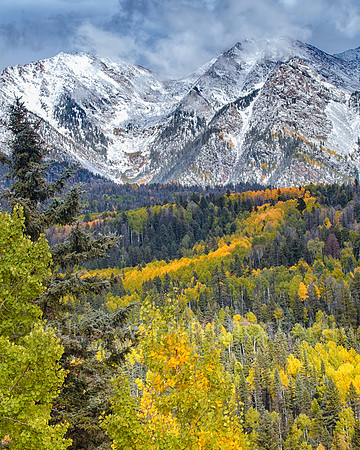 Ouray, CO