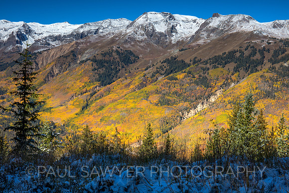 Ouray, CO
