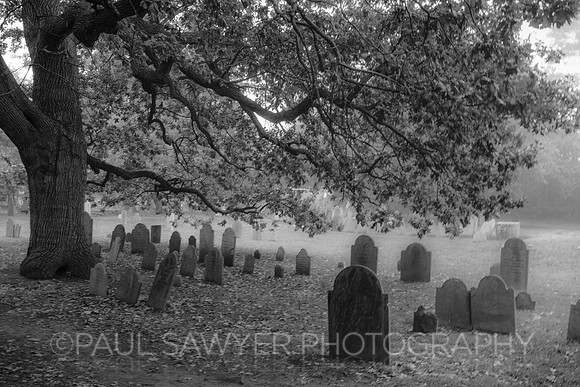 Salem Graveyard