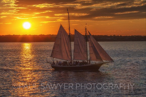 Newport Schooner