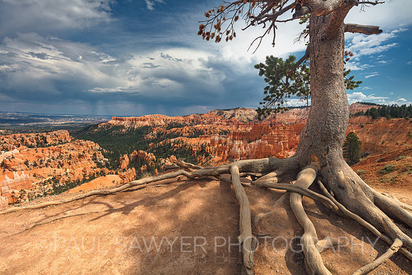 Bryce Canyon