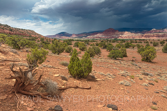 Capitol Reef