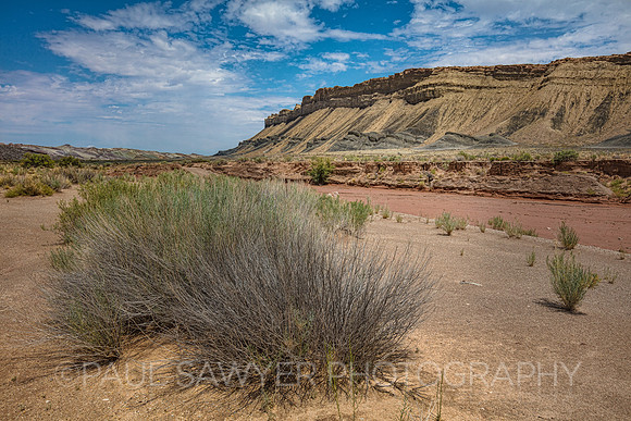 Cathedral Valley