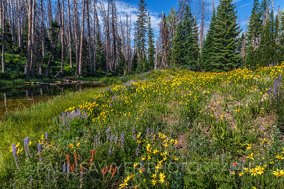 Cedar Breaks