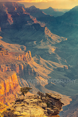 Grand Canyon - South Rim