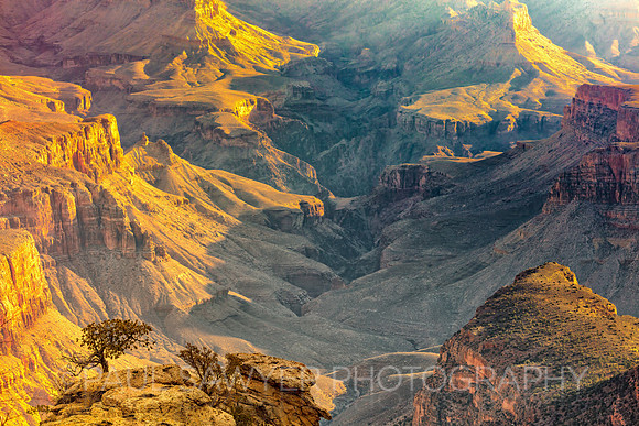 Grand Canyon - South Rim