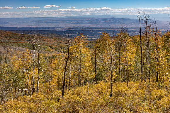 Grand Mesa, CO