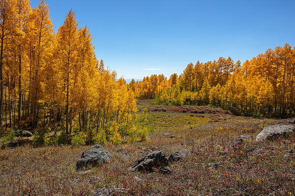 Grand Mesa, CO