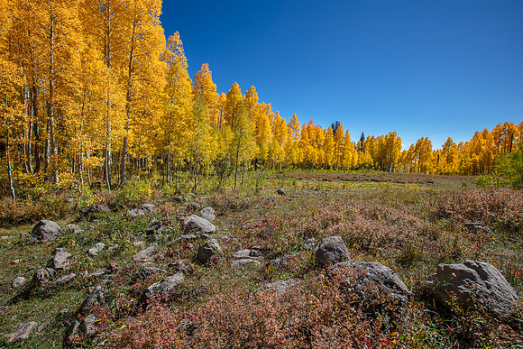 Grand Mesa, CO