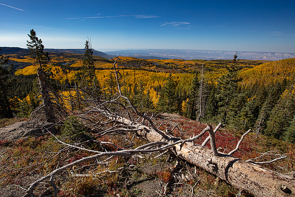 Grand Mesa, CO