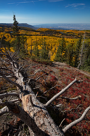 Grand Mesa, CO