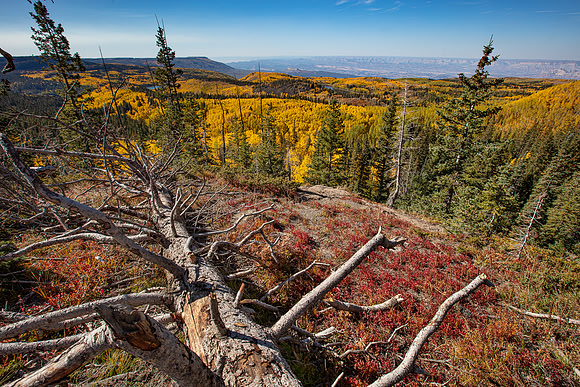 Grand Mesa, CO