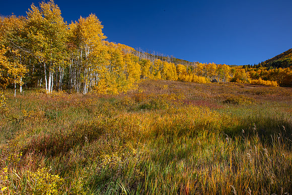 Grand Mesa, CO