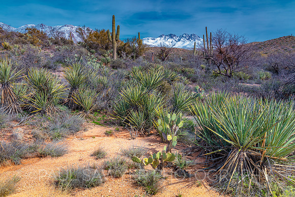 Four Peaks in Winter II