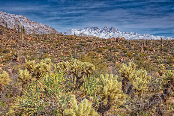 Four Peaks in Winter 5