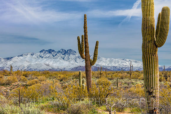 Four Peaks in Winter