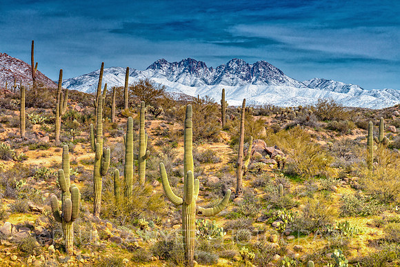 Four Peaks in Winter 4
