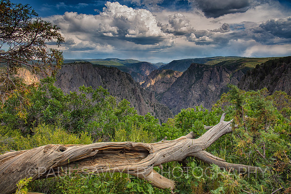 Black Canyon of the Gunnison II